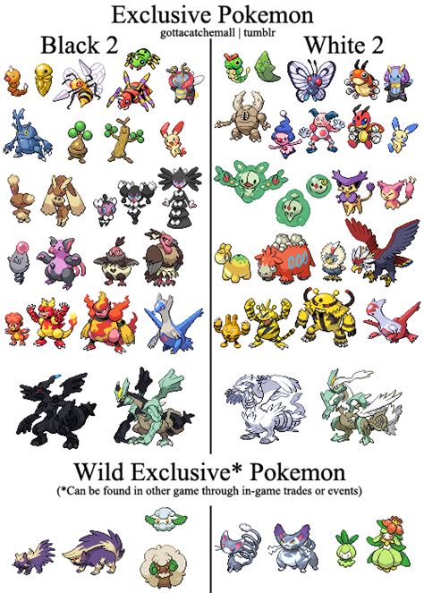 pokemon black exclusives